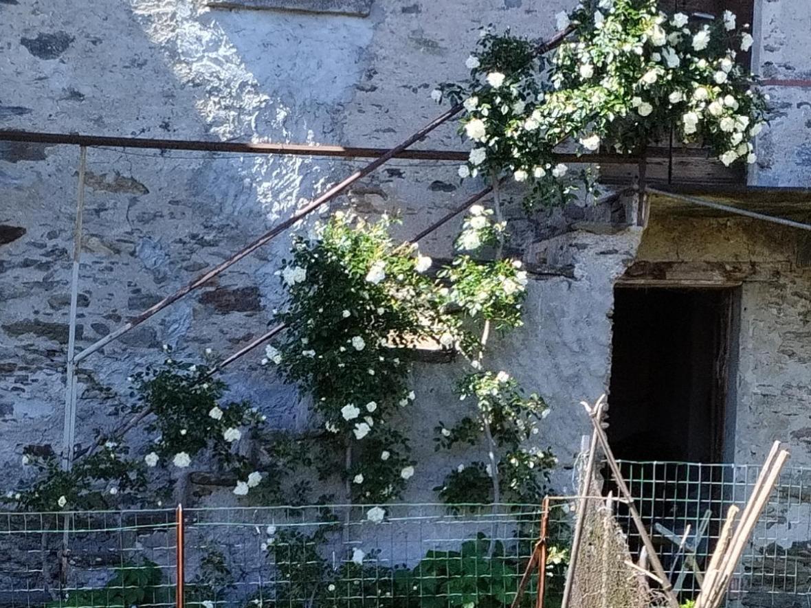 Il Forno Apartment Cossogno Exterior photo